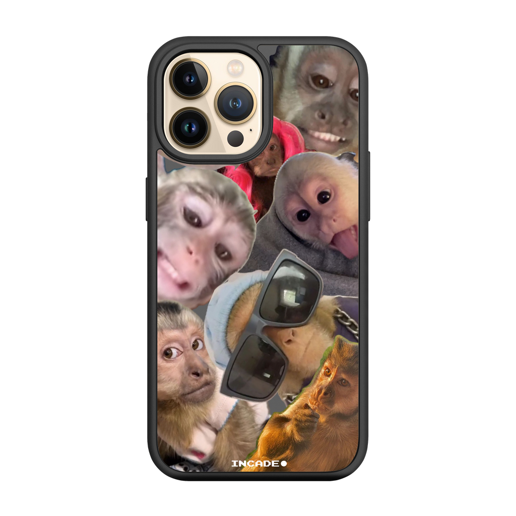 iPhone 13 Pro BIBIZYANA