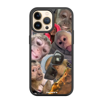 iPhone 13 Pro BIBIZYANA