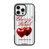 iPhone 16 Pro BOMB2