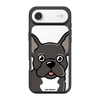 Чохол для iPhone 17 Air з принтом FBULLDOG