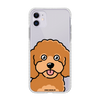 Чохол для iPhone 11 з принтом TOY POODLE